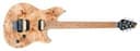 Peavey HP 2® Electric Guitar – Poplar Burl Top, Natural Finish, Maple Neck